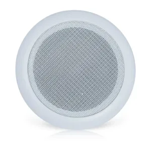 Ceiling Speaker